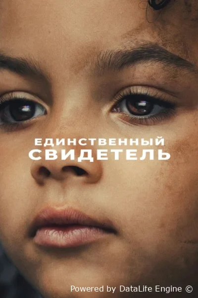 Единственный свидетель онлайн